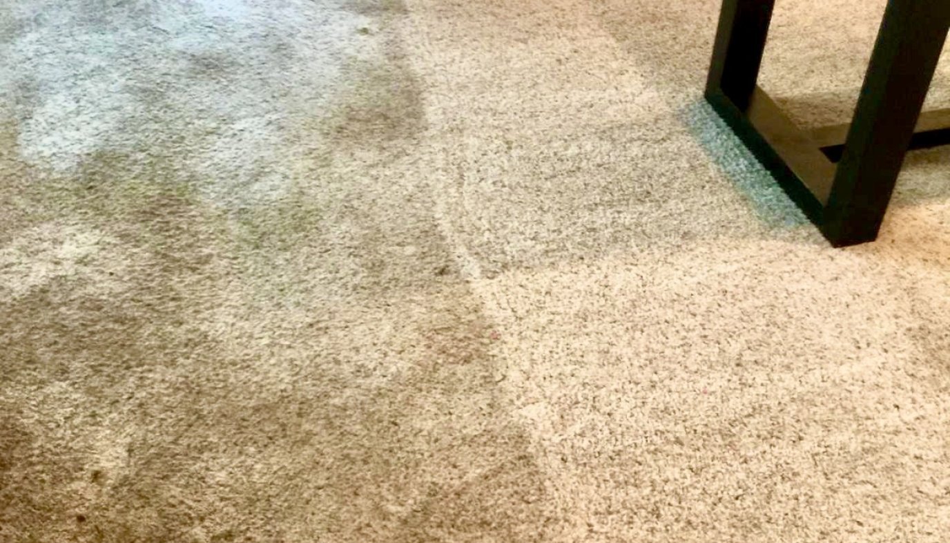 Professional carpet cleaning in San Diego